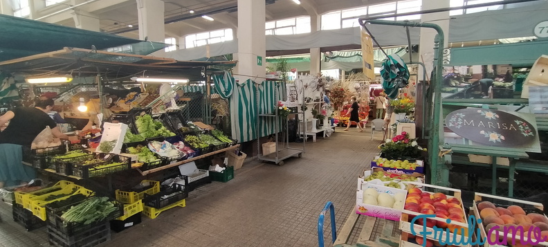 Fruit and vegetable market in Gorizia