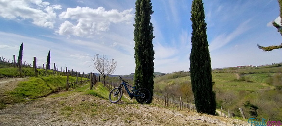 View of the Collio during a ride