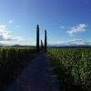 Friuliamo.it improves its offer
