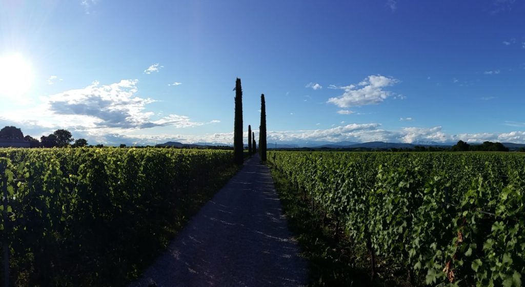 Friuliamo.it improves its offer